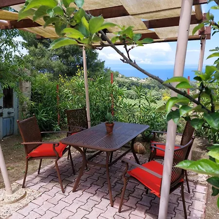 Iliaxtida Agia Paraskevi (Kassandra)